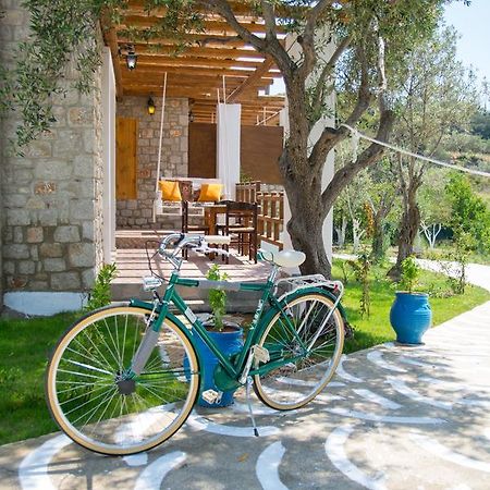 Villa To Stolidi Tis Psinthou Psinthos Exterior foto