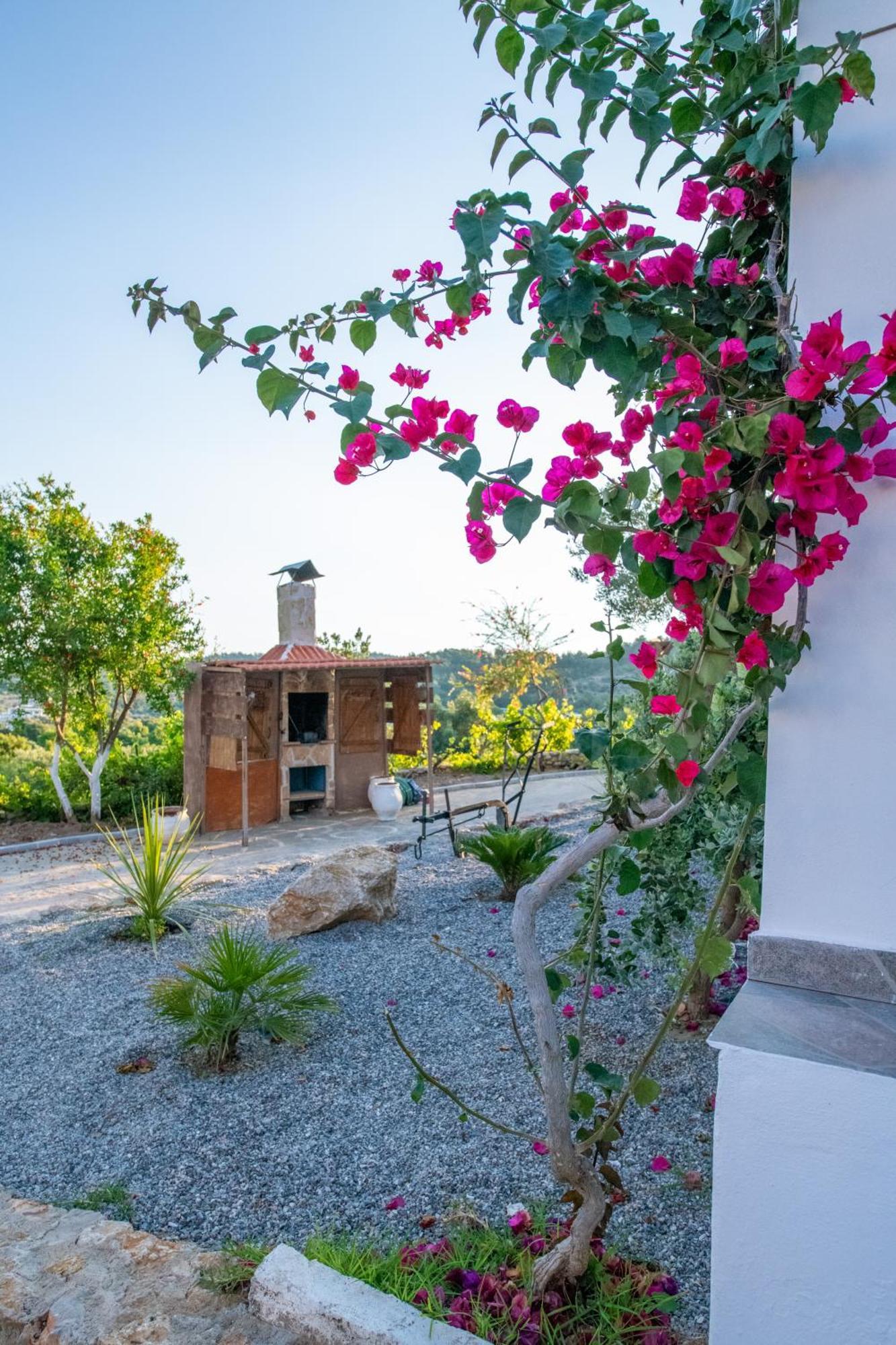 Villa To Stolidi Tis Psinthou Psinthos Exterior foto