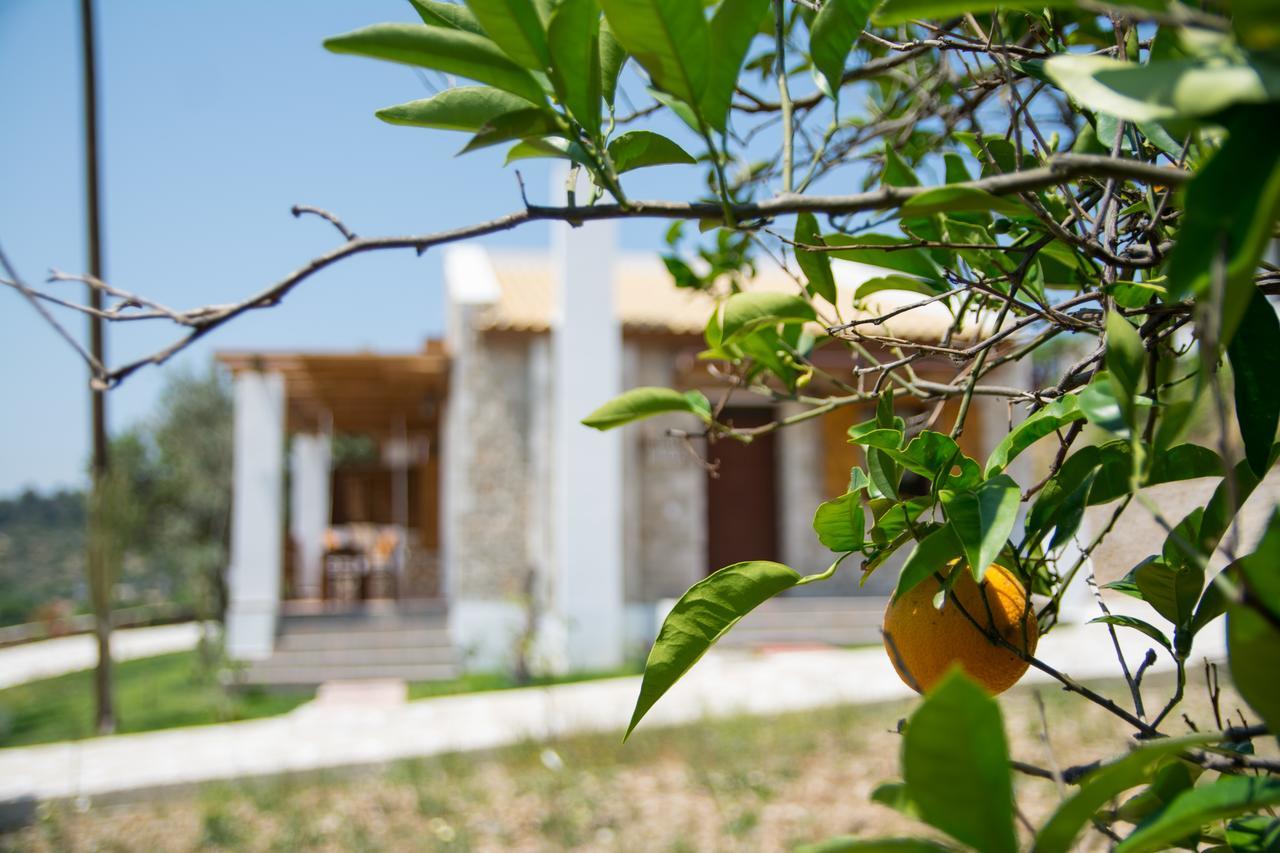 Villa To Stolidi Tis Psinthou Psinthos Exterior foto